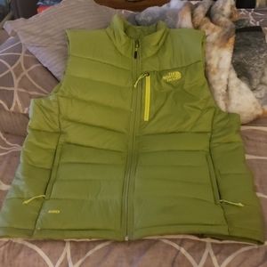 The north face vest